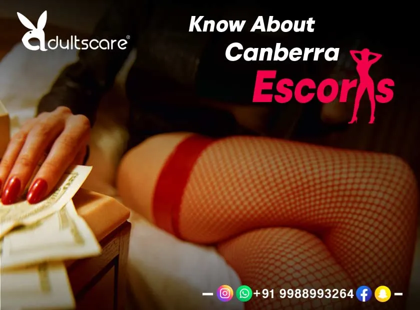 The Most Popular Types of Escorts