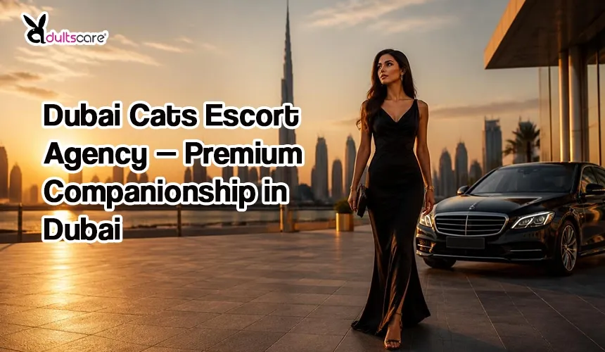 Dubai Cats Escort Agency — Premium Companionship in Dubai