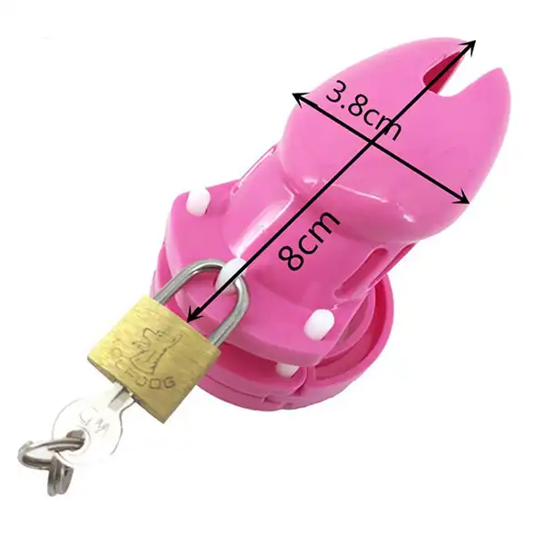 Pink Chastity Locked Cage Sex Toy for Men