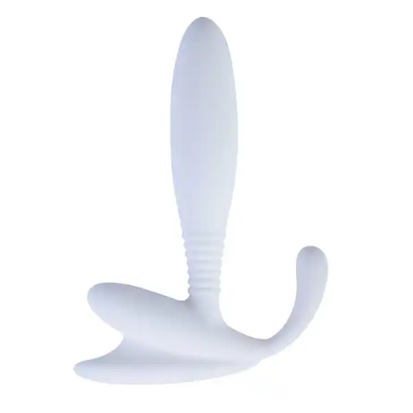 Anchor Prostate Massager