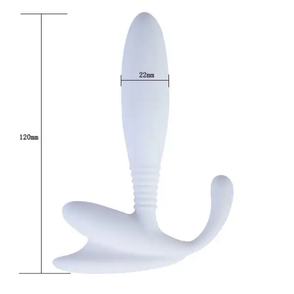 Anchor Prostate Massager