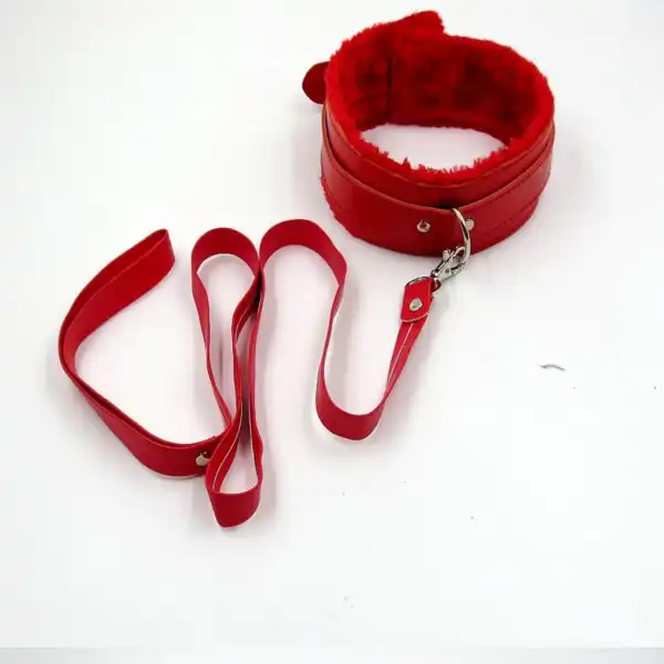 Collar with Leash Fetish BDSM Dog Slave