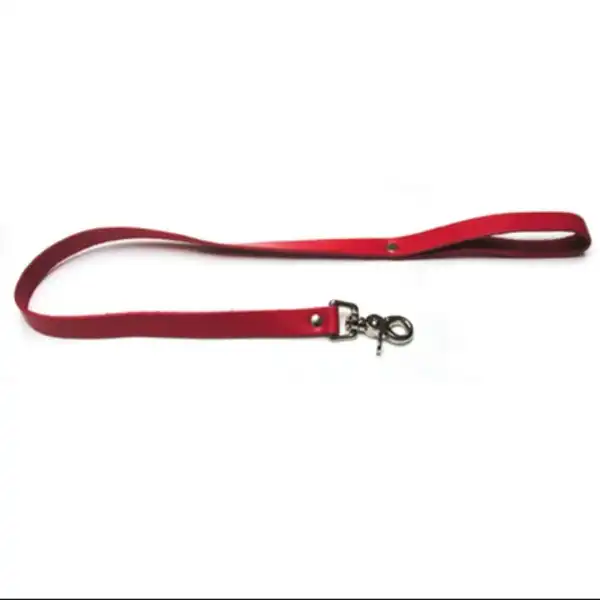 Collar with Leash Fetish BDSM Dog Slave