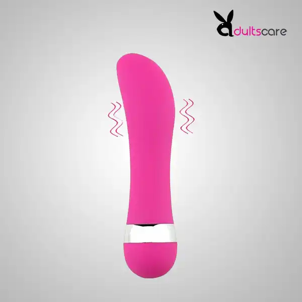 Dolphin Shape Mini Pink Vibrator Massager