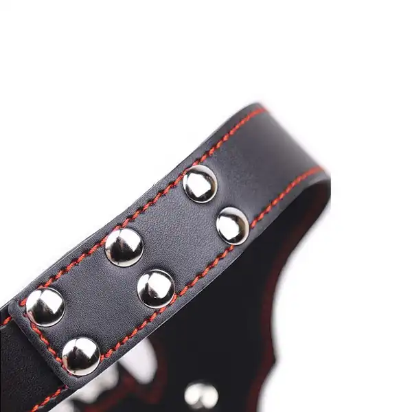 Genuine Leather Bat Shape Collar With Chain Leash