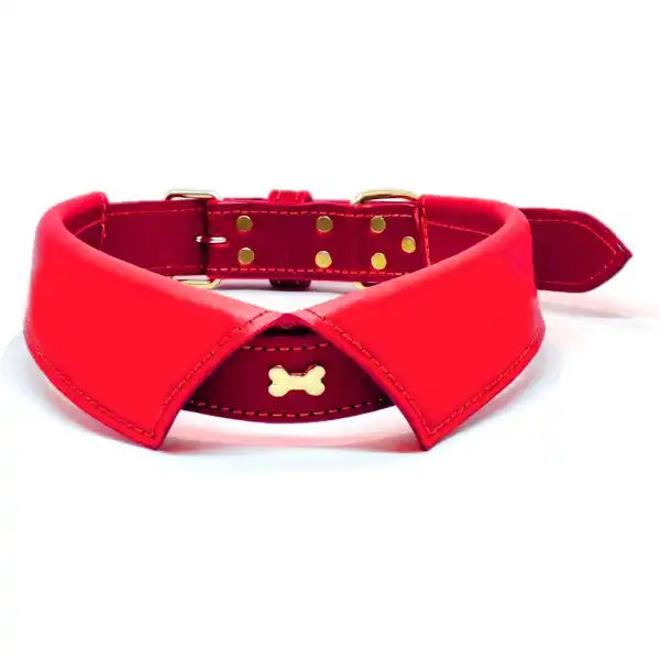 Adjustable Premium Collar Dog