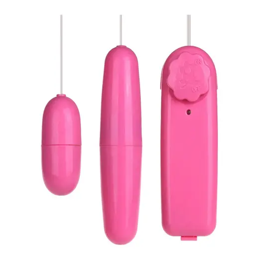 Remote Control Vibrating Double Egg Massager
