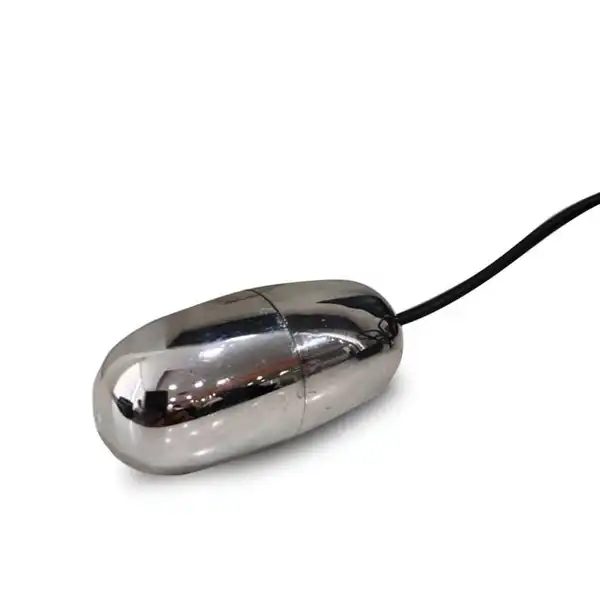 Shiny Steel 7 inch Rod with egg Vibrator