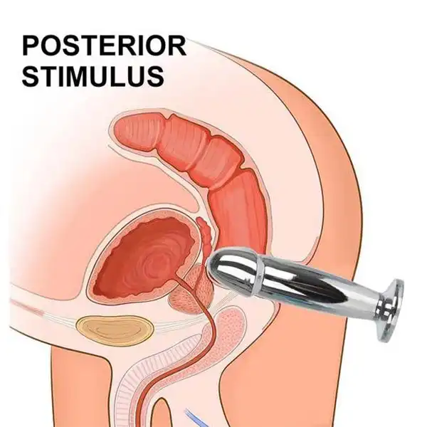 Stainless Steel Anal Vibrator For Prostate