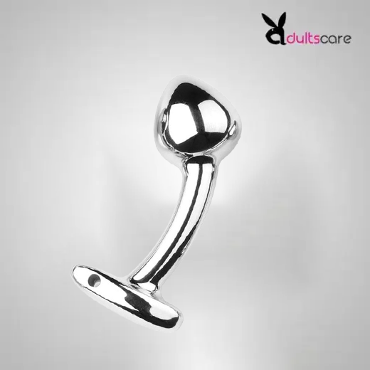 Stainless Steel Anal Plug Curved Sex Toys Women Men G-spot Dildo Butt Plug