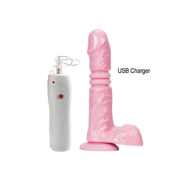 USB Charger Remote Control Up & Down Dildo