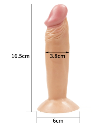6 inch Mr.Perfect Dildo For Beginers