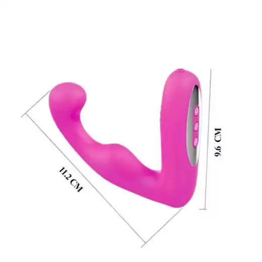 12 Speeds Prostate Massager usb Recharge & Remote Control