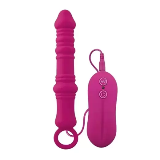 Dutch Cannon 10 Mode Anal Plug Vibrator With Remote