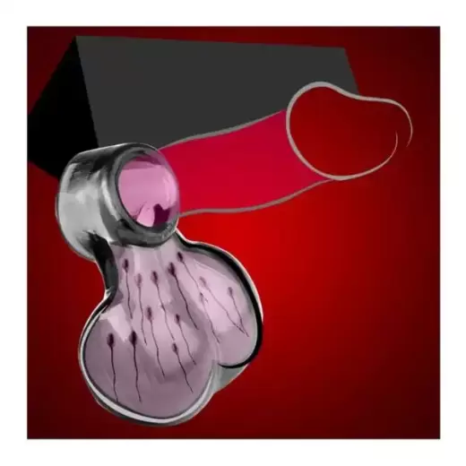 Reusable Penis Ball Ejaculation Delay Condom Ring