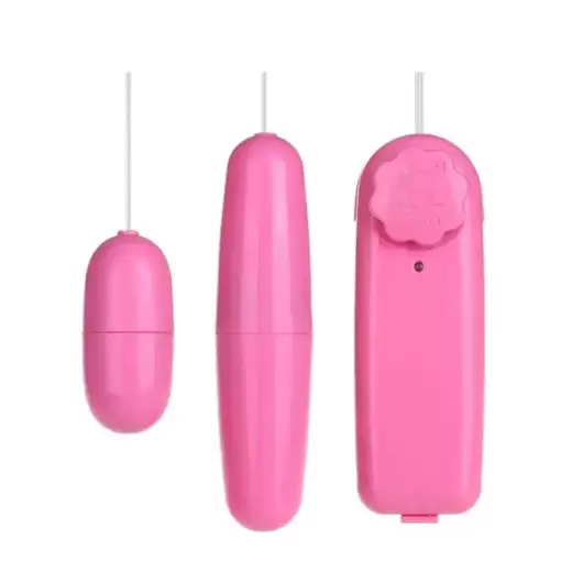 Remote Control Vibrating Double Egg Massager