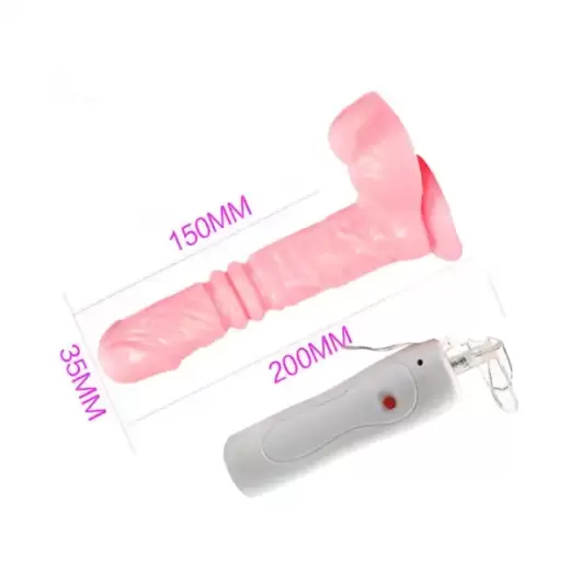 USB Charger Remote Control Up & Down Dildo