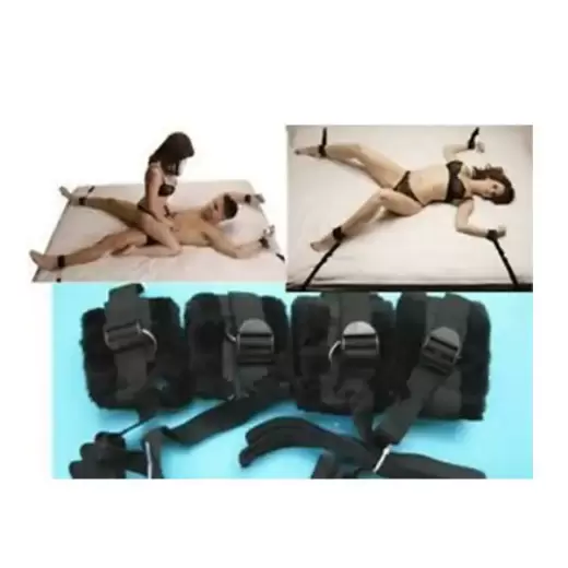 Under Bed Restraint System