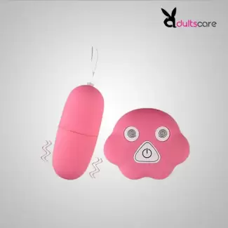 Remote Control Vibrating Egg G Spot Massager