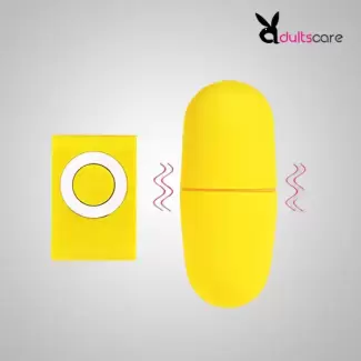 Wireless Remote Control Vibrating Egg