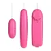 Remote Control Vibrating Double Egg Massager