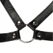 Restraints Nipple Clamps Slave Collar Fetish