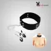 Slave Collar & Nipple Clamps Leather