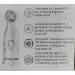 Electric Male Masturbator for Penis trainer with sound function